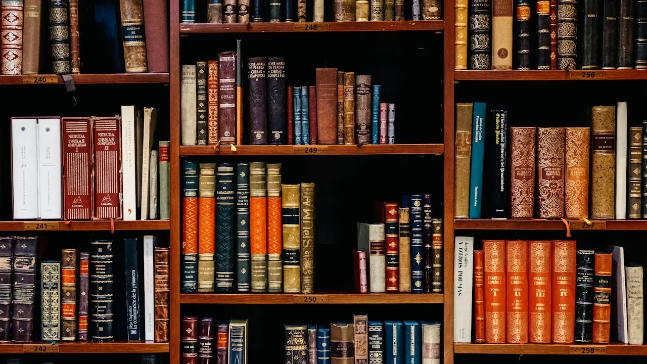 Archivage documentaire et sauvegarde des textes à Olonzac